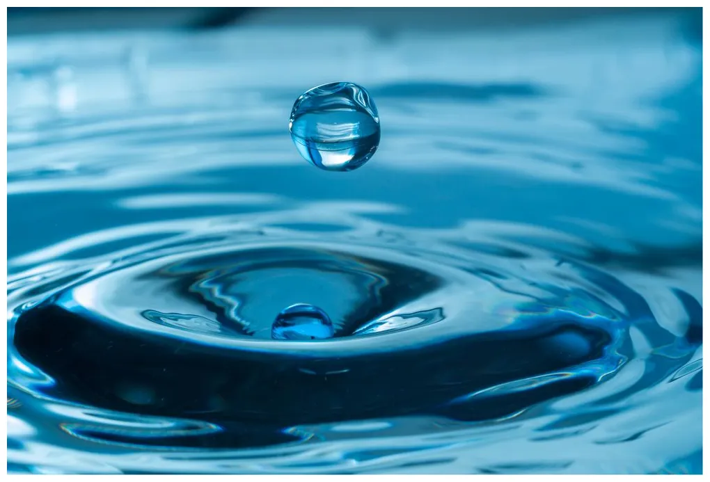 10 facts about water • secrets and riddles