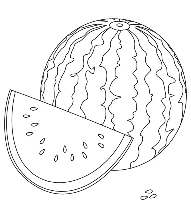 Watermelon Coloring Page & coloring book. 6000+ coloring pages.