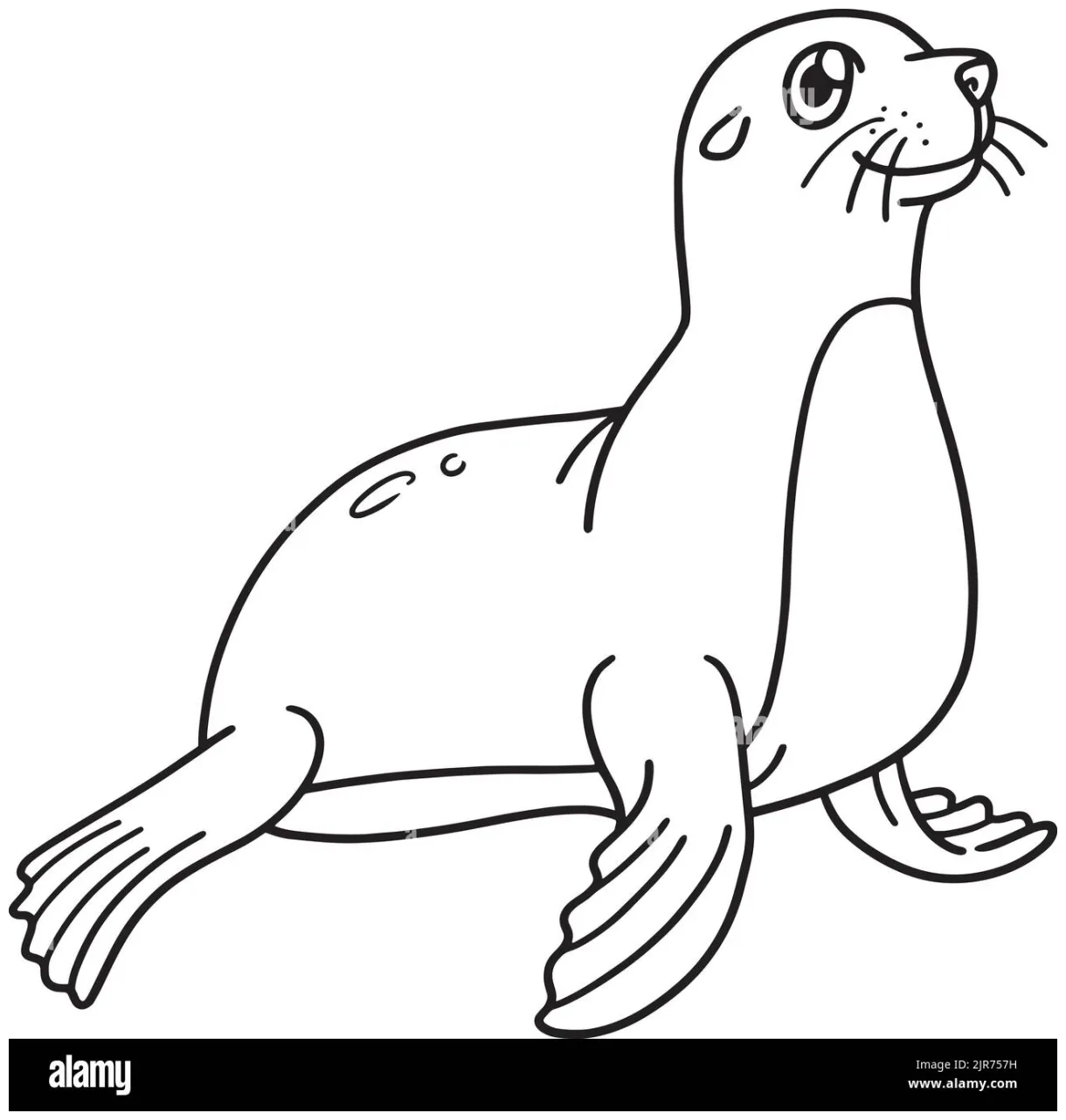 Seal isolated coloring page for kids stock vector & art alamy