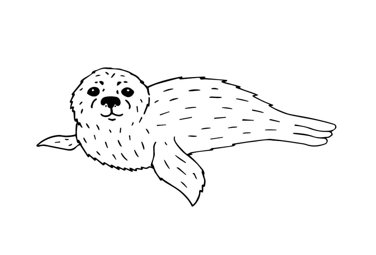 20+ seal coloring pages free printable pdf & online coloring