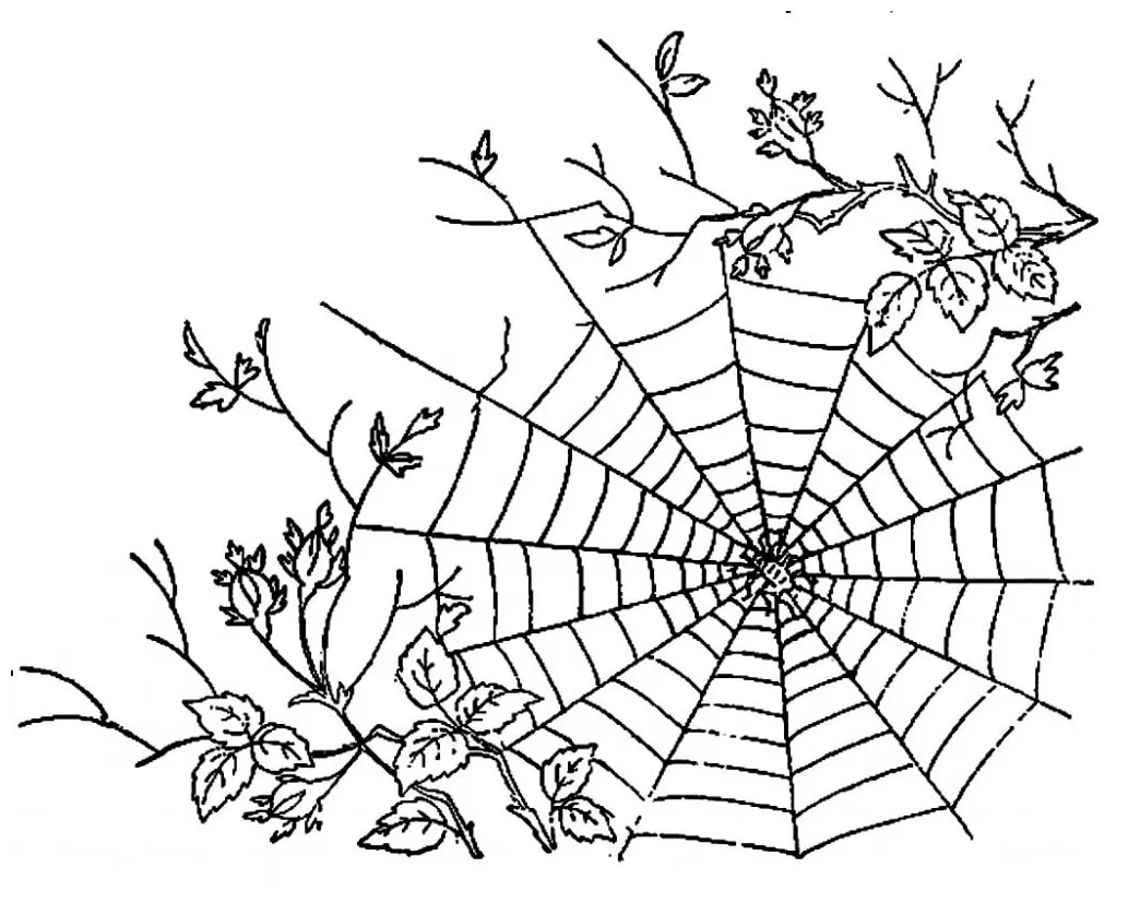At getcolorings free printable colorings pages