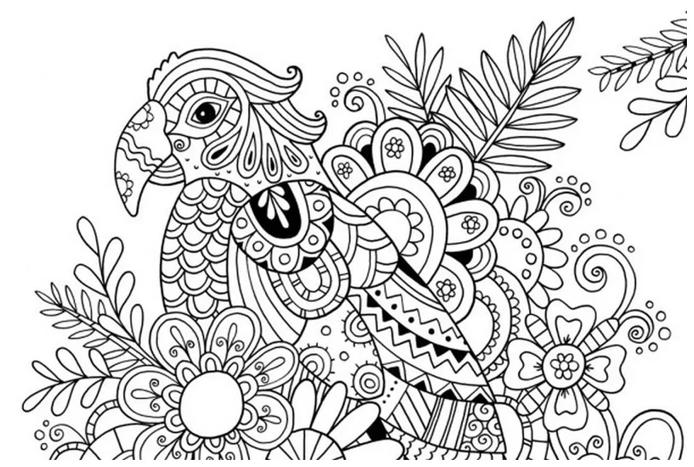 Coloring page online & coloring book. 6000+ coloring pages