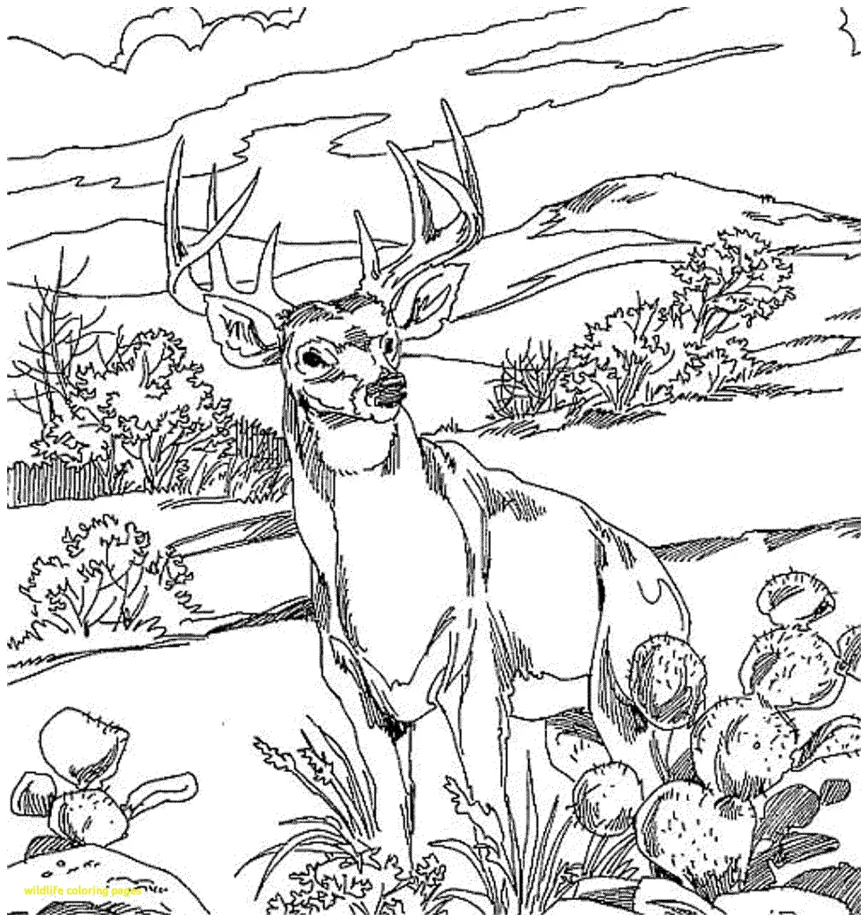 S at getcolorings free printable colorings