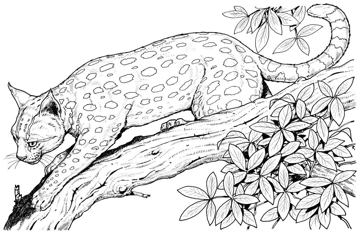 Free s fun printables download free printable