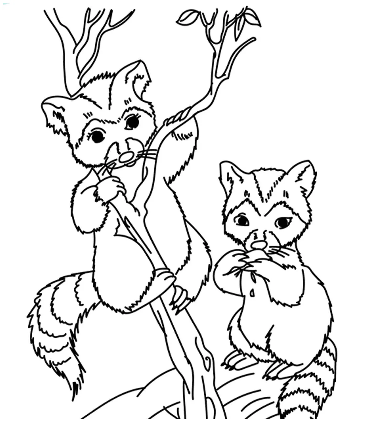 Wildlife animal coloring pages coloring pages