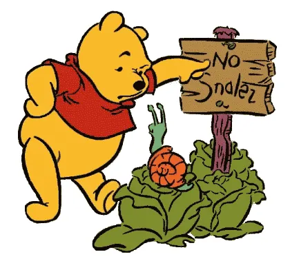 Winnie pooh