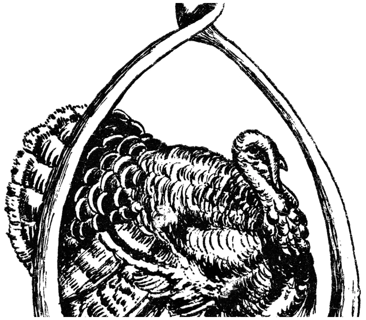 Wishbone Coloring Pages at GetDrawings | Free download