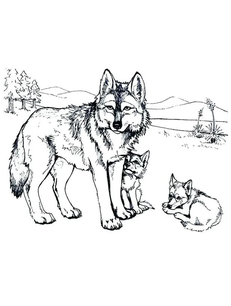 Wolf pack hunting coloring pages coloring pages