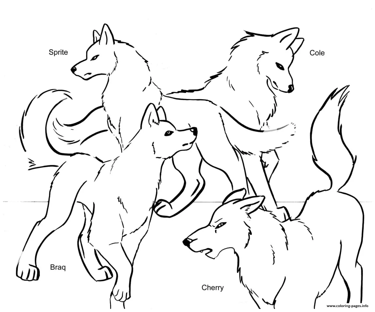 Wolf pack team coloring page printable