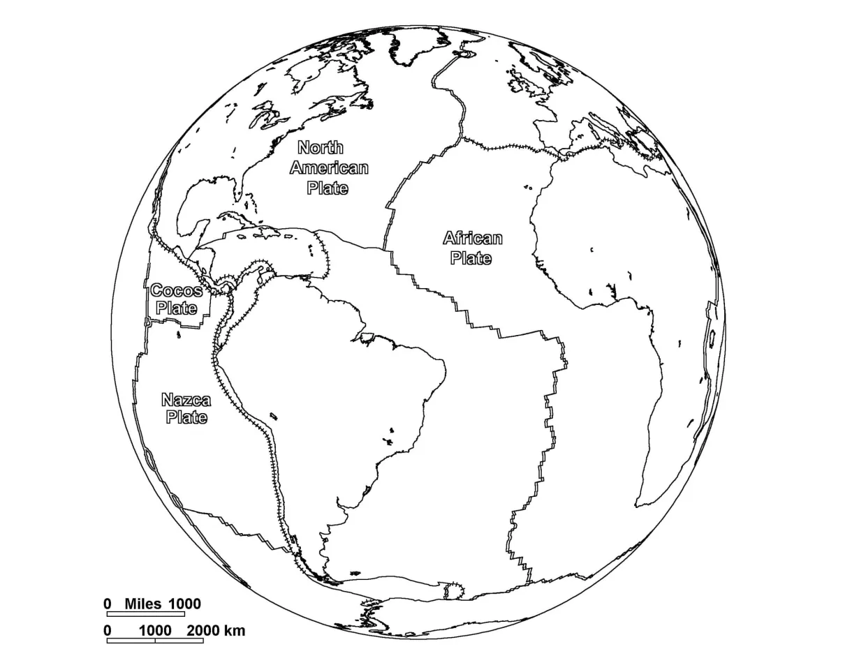 world Map coloring page - Download, Print or Color Online for Free