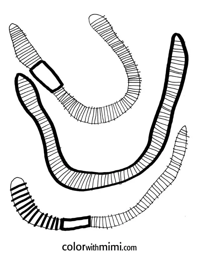 S printable coloring page