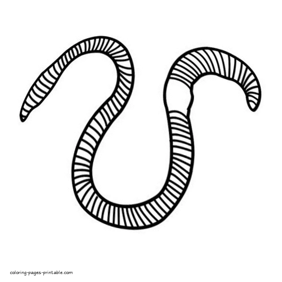 Worm coloring pages coloring home