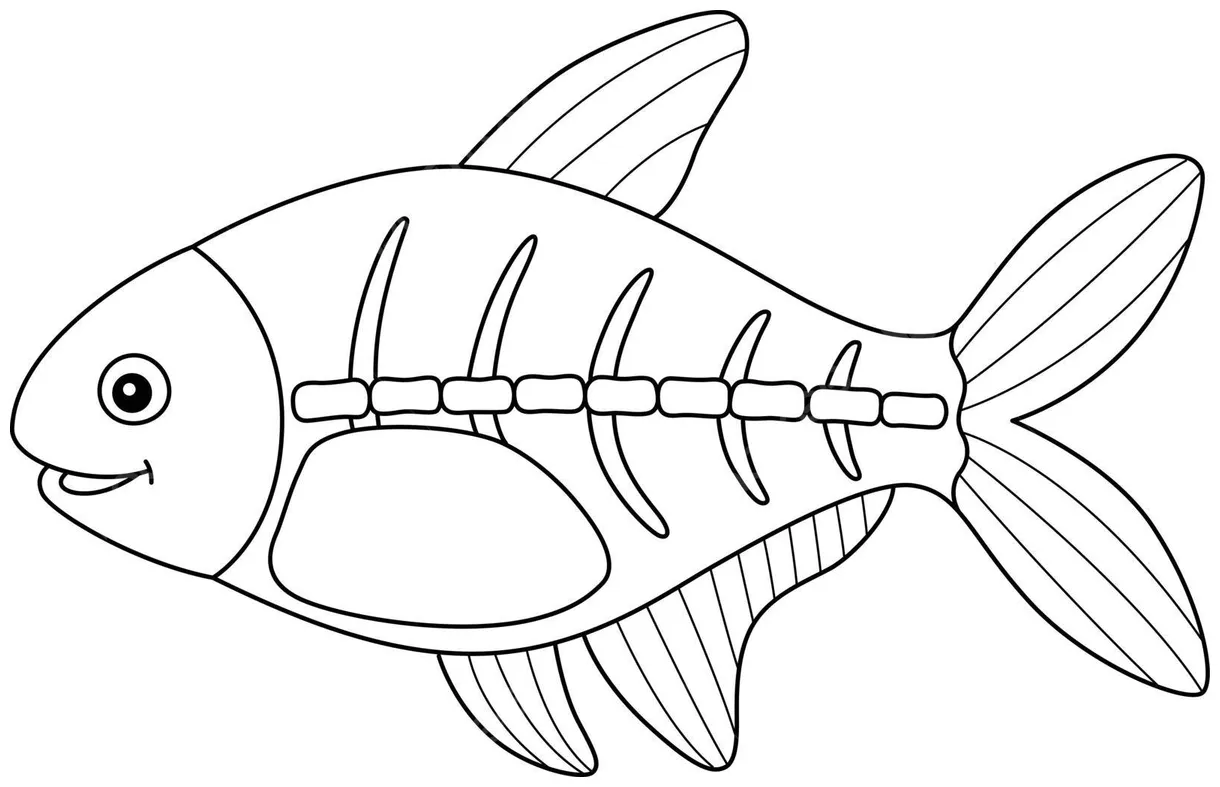 Xray coloring pages