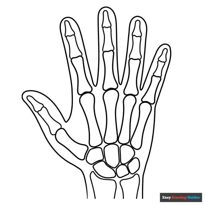Xray coloring pages