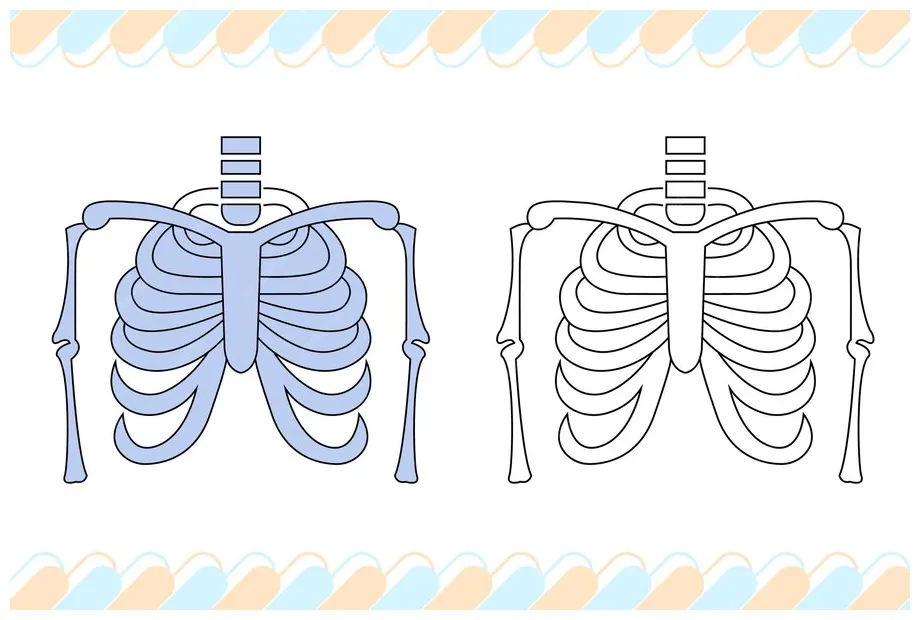 Premium vector xray coloring page for coloring books printable coloring page