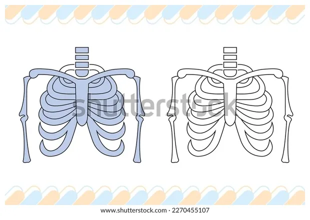 Xray coloring page kids stock vector 2270455107