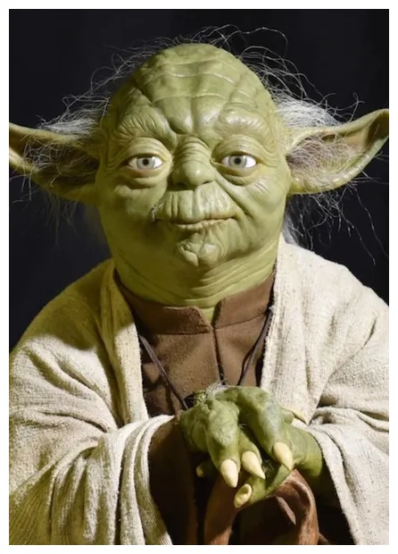 Master yoda fan casting
