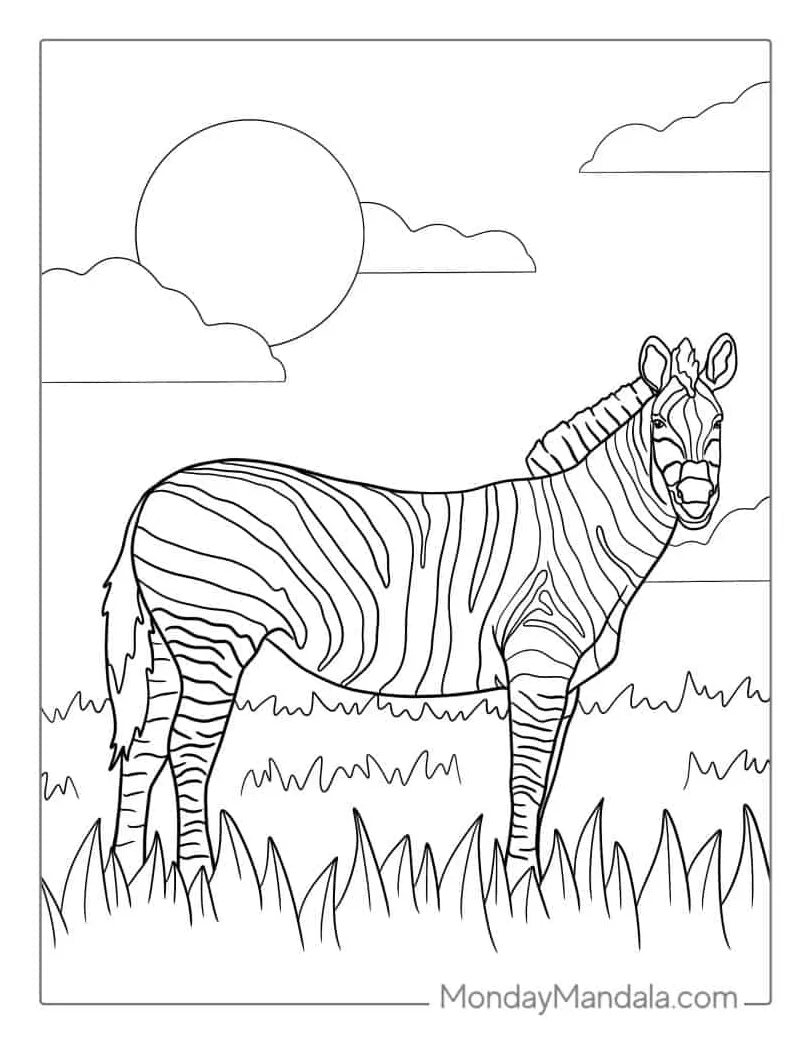 Coloring page zebra download free printable