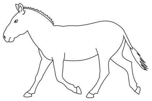 Zebra Without Stripes coloring page | Free Printable Coloring Pages