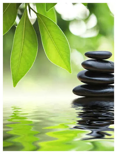 Préstations esthétiques | zen-lavie