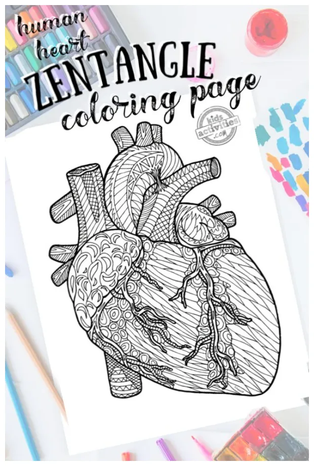 Detailed Zentangle Human Heart Coloring Page Kids Activities Blog