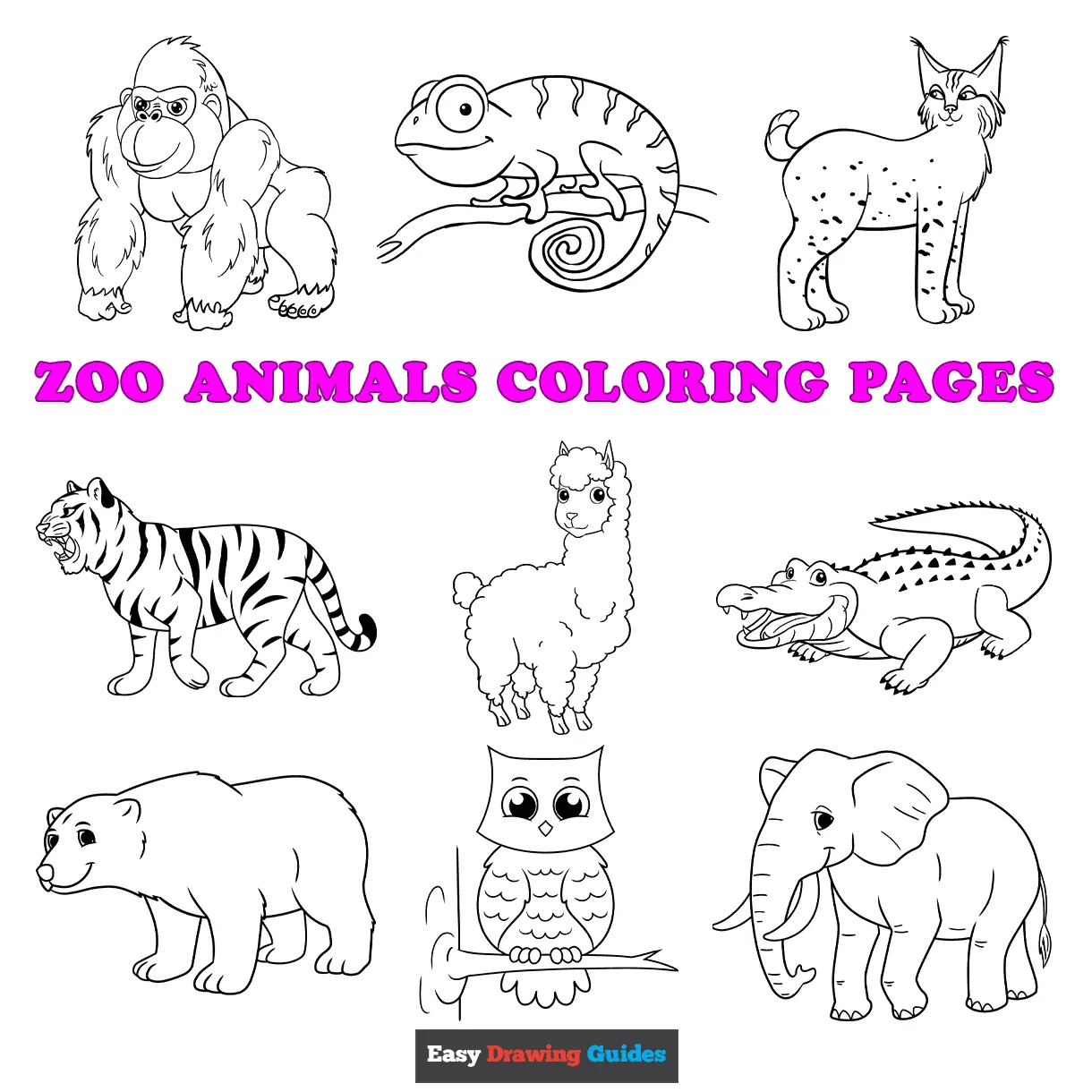 Zoo animal coloring pages for toddlers