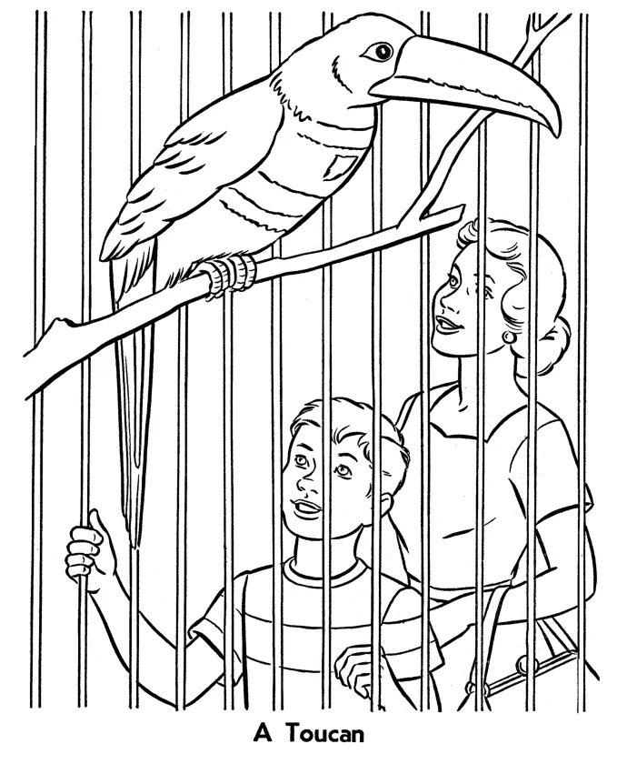 Empty zoo cage coloring page coloring pages