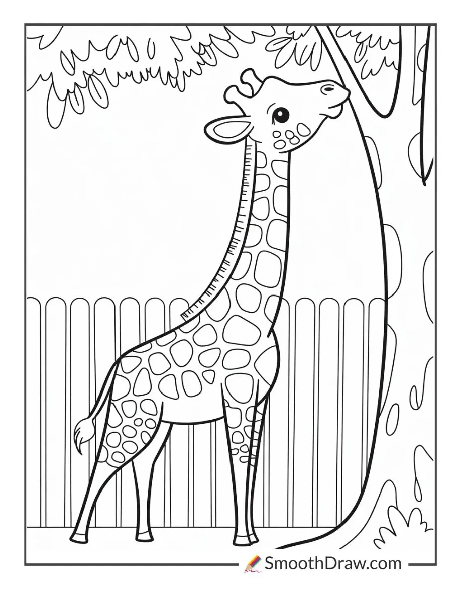 37 zoo coloring pages free printable pdfs smooth draw