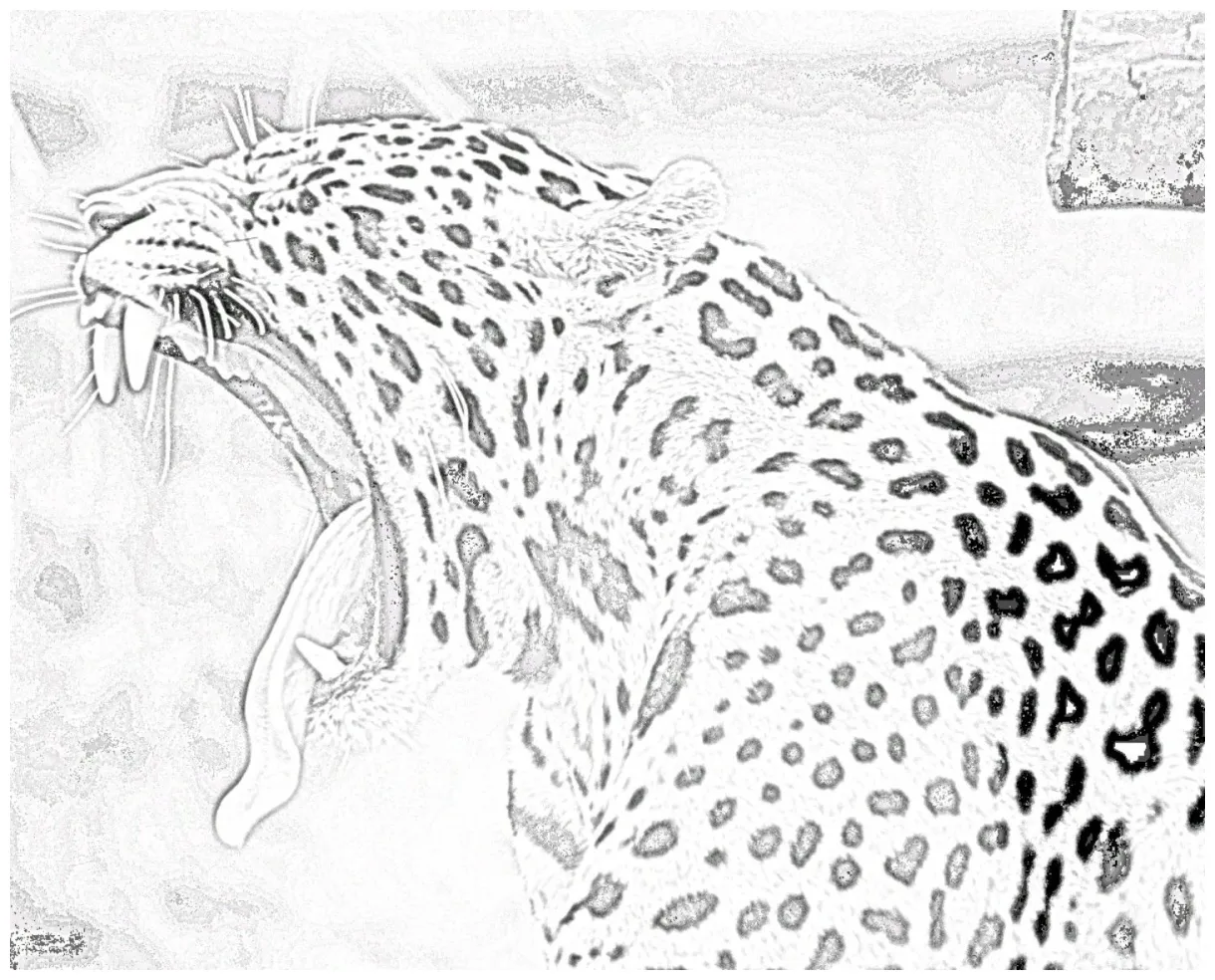 Leopard coloring page zoo animal coloring pages