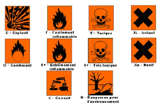 DÉveloppement durable et impacts environnementaux toxicité humaine