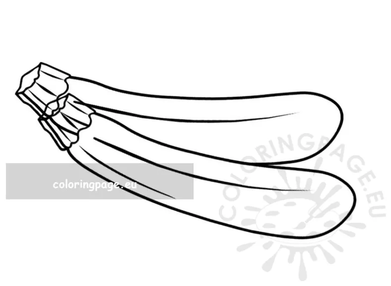 Zucchini coloring page