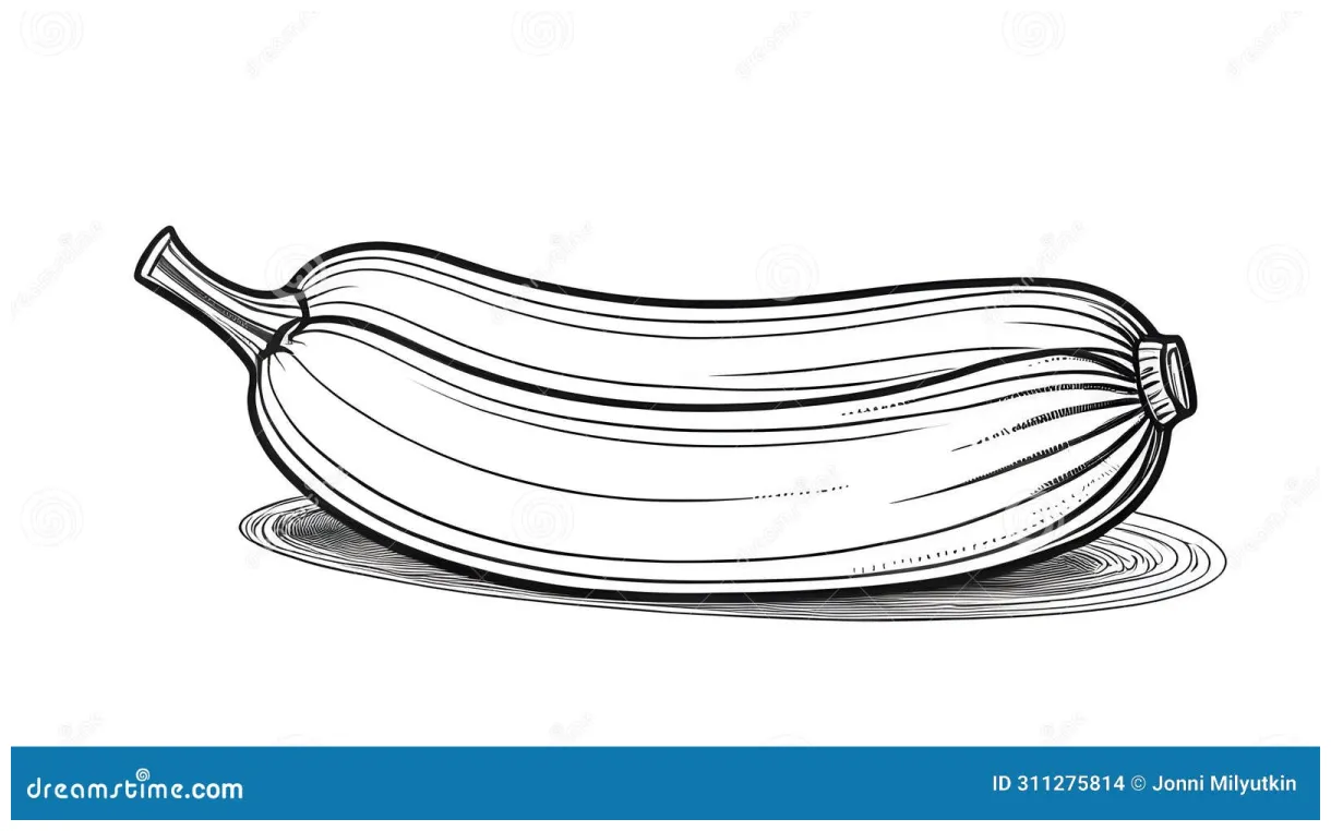 Coloring page zucchini, coloring book style, stock illustration
